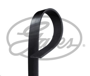 Принт скрин.jpg