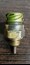 Картинка-38abff64a5e9.jpg