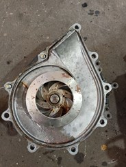 Картинка-611e2c06f3cf.jpg