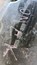 Картинка-82d89cffbd38.jpg